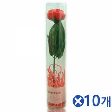한송이 카네이션 비누꽃 원통형x10개 비누꽃다발, 레드