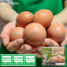 한스팜 난각번호 2번 업체직송 동물 복지 계란 코스트코 달걀 40구 케이지프리, 1개