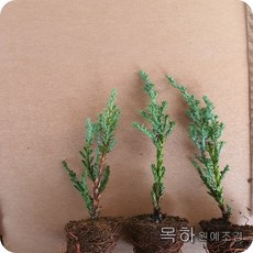 33e45a47d009b2b764642fa06177db4af6b42c1fe2d0ae43509553c1f0d7.jpg