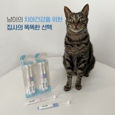 뚜또가또칫솔