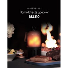 bsl110