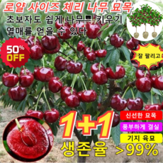 옻칠작품 TOP01