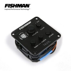 벌크Fishman Isys+ (ISY-301)