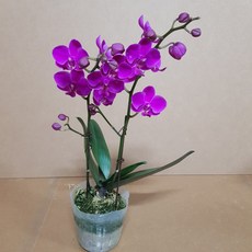 c44bc1874798585091ee77316ef7bd5c0d761076543da111aeb6e6a5d177.jpg