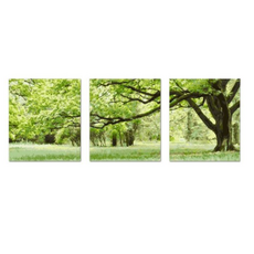 adfb3af1eb2337fe118a4294a7dfdb37e739bee544c60be02cab965fb35e.png