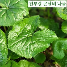 추천2 3월제철음식