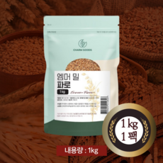 파로 TOP01