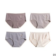 굿데이 컴퍼니 항균 팬티 노라인 햄라인 면팬티 여성팬티 4매 여자 여성 속옷 삼각 노라인팬티 vNNK02