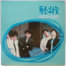 [중고LP] 푸른하늘 (겨울바다/하얀 사랑) LP