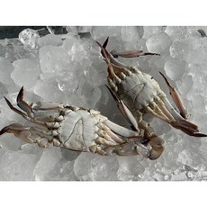 임자만난꽃게