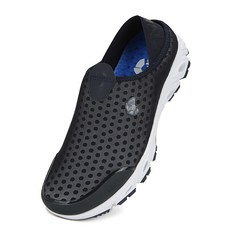 사푸라이나비침