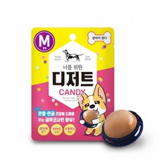 너를위한 TOP01