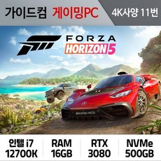 포르자호라이즌5pc