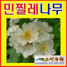 ee3fb64efadd0ce3a306508879b959610a4d9bd372ef009d4ff980af2a97.jpg