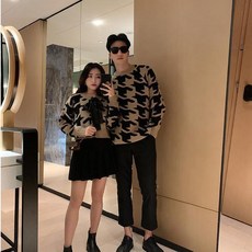 폴로페어아일니트