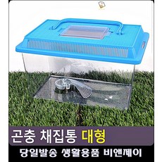 꾸러기물고기네집