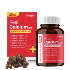 펫생각 데일리케얼 리얼 칼슘 강아지 관절 영양제 미니 66g 31정 슬개골 허리 디스크 애견 보스웰리아 MSM, 1개