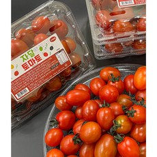 토망고-추천-상품