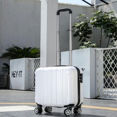 코스트코샘소나이트캐리어