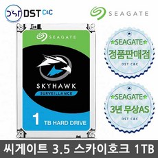 씨게이트skyhawk