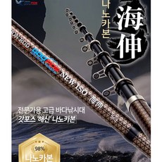 나노카본죽도