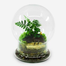 서울테라리움만들기