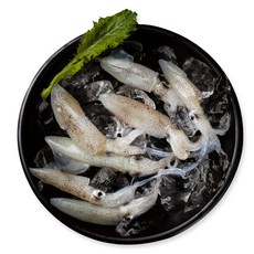 자연산 꼴뚜기(호래기) 500g 급냉, 1팩