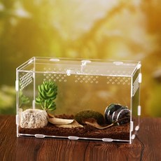 곤충 먹이 상자 투명 용기 아크릴 테라리움 거미 작은 뱀 파충류 캐리어 조립하기, 30x20x15