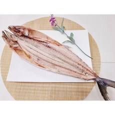 반건조볼락