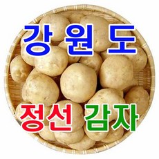 강원도감자-추천-상품
