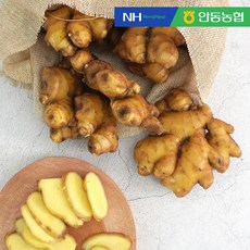 [미식한가]안동농협 육질이 단단한 흙생강 세척생강 (옵션선택), 세척생강 4kg