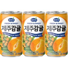 [오늘쇼핑]대일 참맑은 제주감귤 175ml, 20개