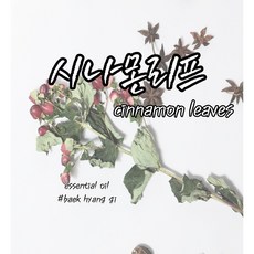 시나몬에센셜오일