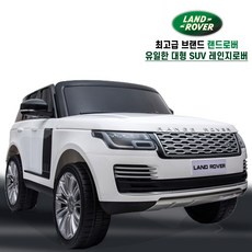 2인용전동카