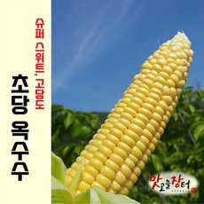 달콘초당옥수수