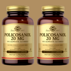 솔가 폴리코사놀20 100캡슐 2병세트, 100캡슐 2개, 2개, 100정