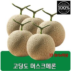 고당도 머스크 메론 멜론 특품 1.6kg 내외, 5개, 8kg 내외