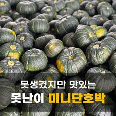 제주 햇 못난이 미니단호박 밤호박 보우짱 3kg 5kg 10kg, 못난이 미니단호박 10kg, 1개