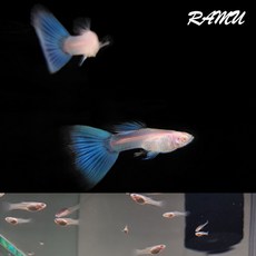 42a93ead7527f6d87ec8572743aecc4b758ddd1ad5f652ef16cacb4d6a45.jpg