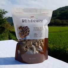 자연건조 말린느타리버섯 의령착한농장, 1개, 110g