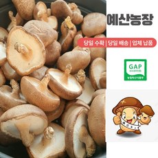GAP인증 [예산표고버섯 산지직송] 생표고버섯 못난이 는 맛이나 영양에 차이가 없습니다 .가정용으로 추천 육수용 가루용 김장용 대량용 못난이 -1KG, 1개, 못난이 1kg