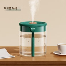 DFMEI 2L 대용량 더블 스프레이 가습기 가정용 무음침실 사무실 무드등 디지털 USB 가습기, 그린(무수히 많은 그래픽이 표준)