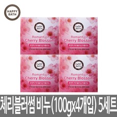 해피바스 체리블러섬 퍼퓸비누 (100gx4개) 비누, 5개