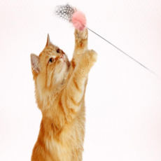  고양이장난감 천연밍크 방울 고양이낚시대 깃털낚시대 x10 