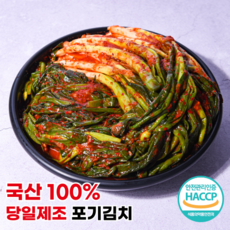 열무김치 TOP01
