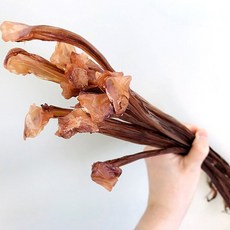 [유쾌상회] 말랑 쫄깃 오다리 장족 무료배송~ 오징어 왕다리 롱다리, 1개, 1kg