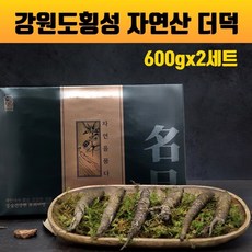 더덕 선물세트 100% 국내산 야생더덕 생더덕 강원도 횡성더덕 엄격한 품질관리 자연 그대로 야생의더덕 산지직송 겨울더덕 기력회복 효능 더덕주 더덕무침 더덕구이 고급포장 황금보자기 부모님 지인 명절 새해 선물 추천, 2세트, 600g