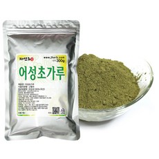 어성초화분