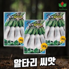 알타리무 씨앗 총각무 씨앗 품새알타리(9월파종) 3개입, 1개