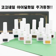 아이비코코